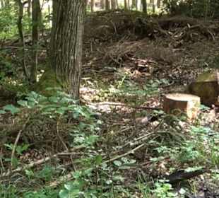 Keltische Grabstätten