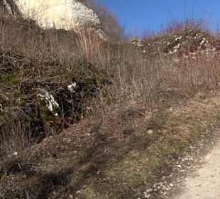 Wandertour Eppenzill