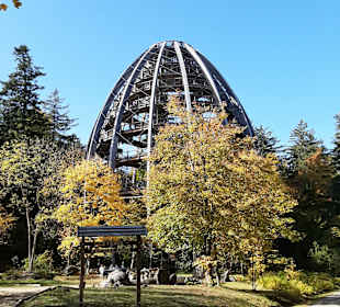 Nationalpark Bayerischer Wald