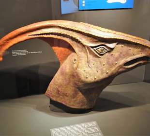 In der Abteilung der Dinosaurier