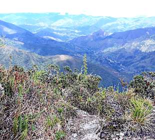 Podocarpus Nationalpark