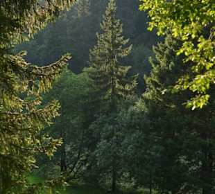 Sunset light in the valley