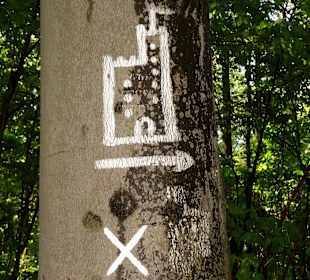 Wegweiser zum Turm am Baum