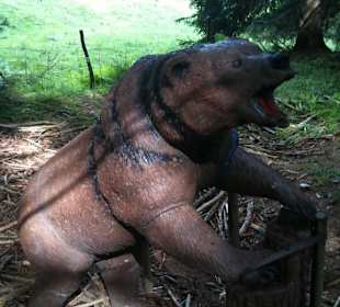 3D Bogenschießen - Ziel: Braunbär