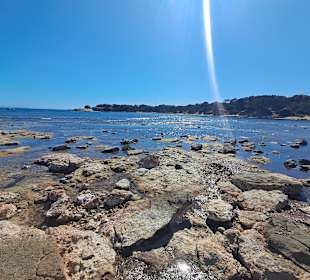 Ses Covetes in Sa Rapita