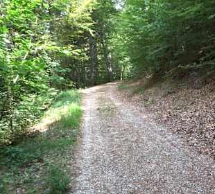 Waldlehrpfad in Tieringen