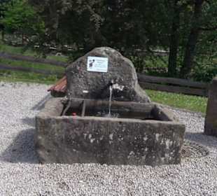 Wanderung Klosterquelle Klosterreichenbach