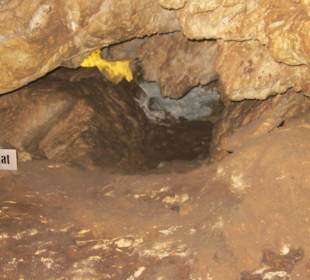 Jaskinia Niedźwiedzia