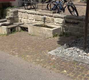 Hirschhof