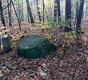 Opferstein im benachbarten Waldgebiet