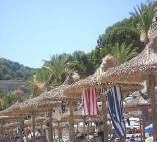 Kostenpflichtige Schirme und Liegen