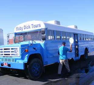 Der Bus von Moby Dick Tours
