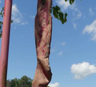 Skulptur / Plastik "R.O.T.;"