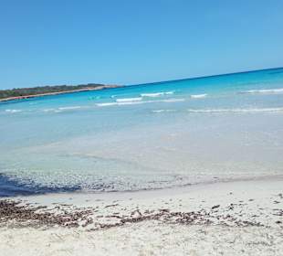Strand Sa Coma