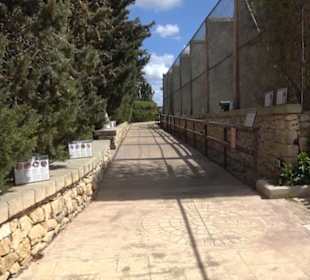 Malta Falconry Centre