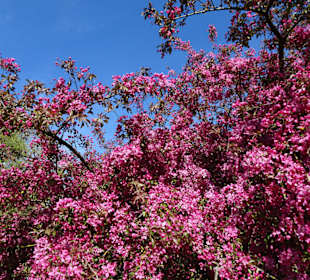 Rundgang durch den Walter-Peters-Park