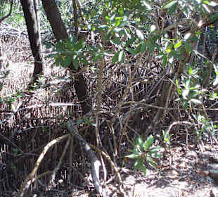 Unterwegs auf den Wanderwegen