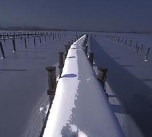 Nikolausfahrt am Chiemsee