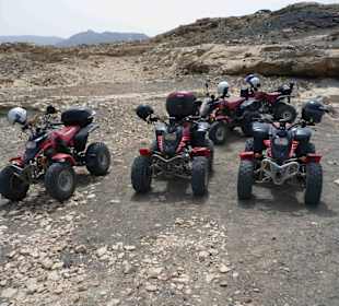 Unsere Quad`s