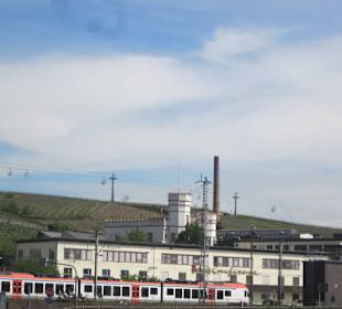 Fähre Bingen-Rüdesheim-Bingen