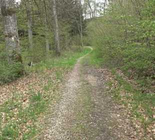 Premiumwanderweg Hochgebürzelt