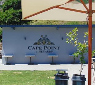 Cape Point Vineyards in Noordhoek