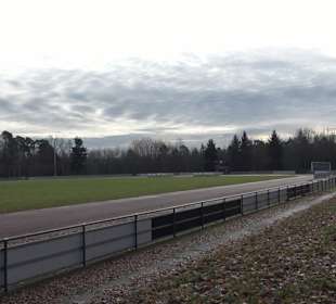 Bitte beschreiben Sie, was auf Ihren Bildern zu se