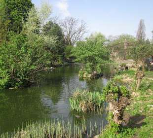 Zoo Heidelberg 
