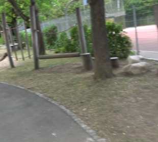 Spielplatz Heckenrosenweg Gülstein