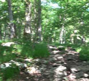 Premiumwanderweg "hochgelegen"