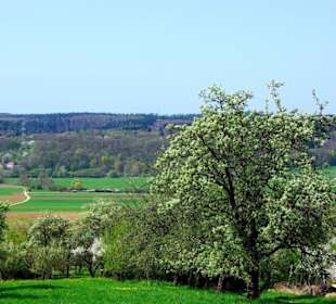 Am Anfang