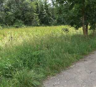 Premiumspazierweg Früchtetrauf-Leisawegle