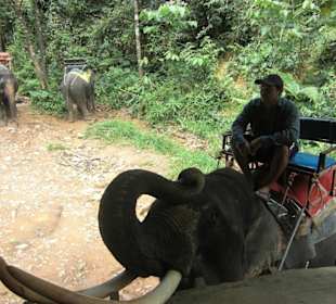 Elefanten reiten!
