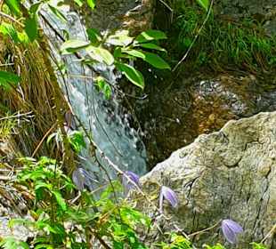 Kl .Wasserfall auf der Wanderstrecke 