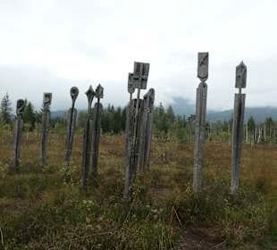 Bei der Moor-Wanderung (Inzeller Filzen)