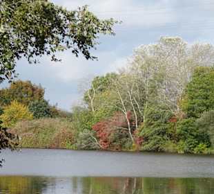 Impressionen vom Spaziergang am Drielaker See