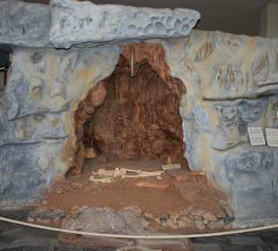 Im Museum von Petralona