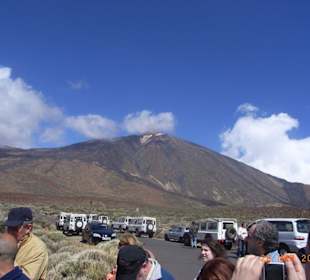 VIP Safari Tour mit Minibussen