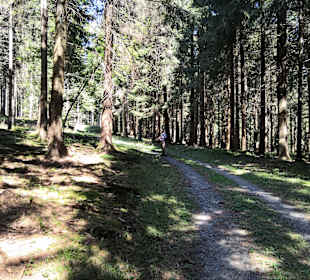 Wunderschöne Wanderwege