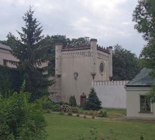 Widok Pałacu z parku