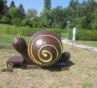 Kurpark Bad Bergzabern