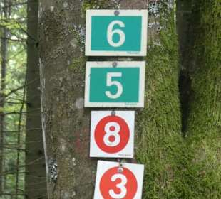 Wanderung zu wilden Bächen und hohen Wasserfällen