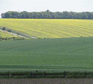 Blick auf die Umgebung