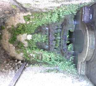 Villa D'Este garden