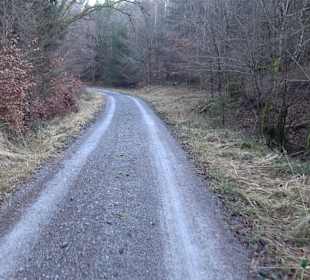 Ochsenweiher Rundweg