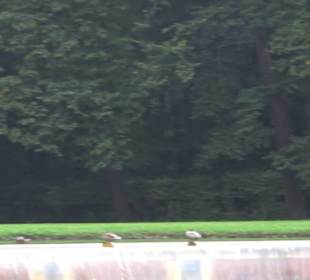 Große Kaskade Nymphenburg