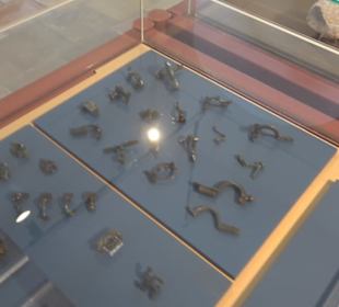 Museum für Ur- und Frühgeschichte