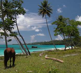 Quadausflug zum Playa Rincon