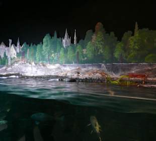 Erste Station: Entstehung des Rheins