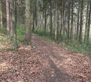 Martinsberg-Tour